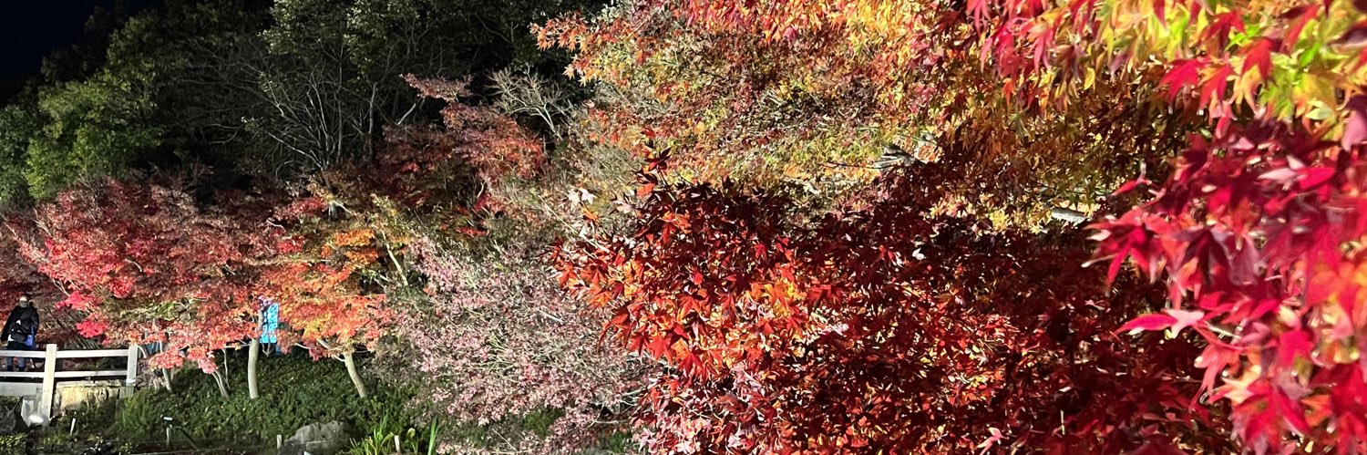 とりめちる🐧 banner