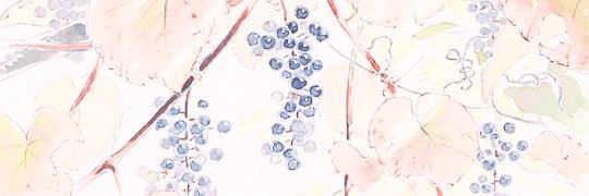 lattepal's profile banner image