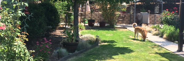 RustyOtto4 Profile Banner