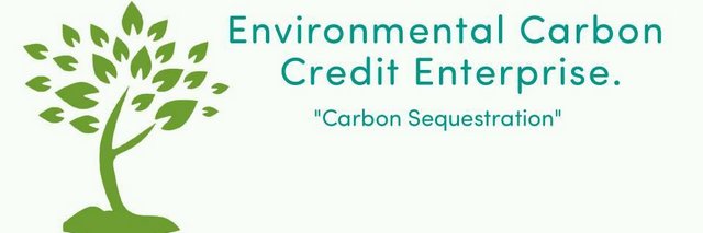 ClimateExchg's profile banner image
