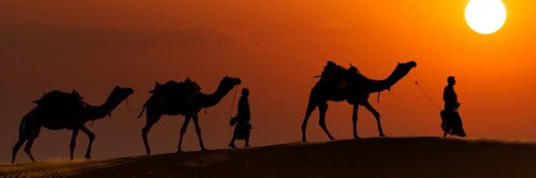 0xcamel Profile Banner