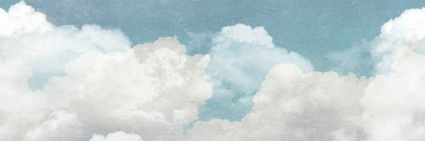 tylerthetoyboy Profile Banner