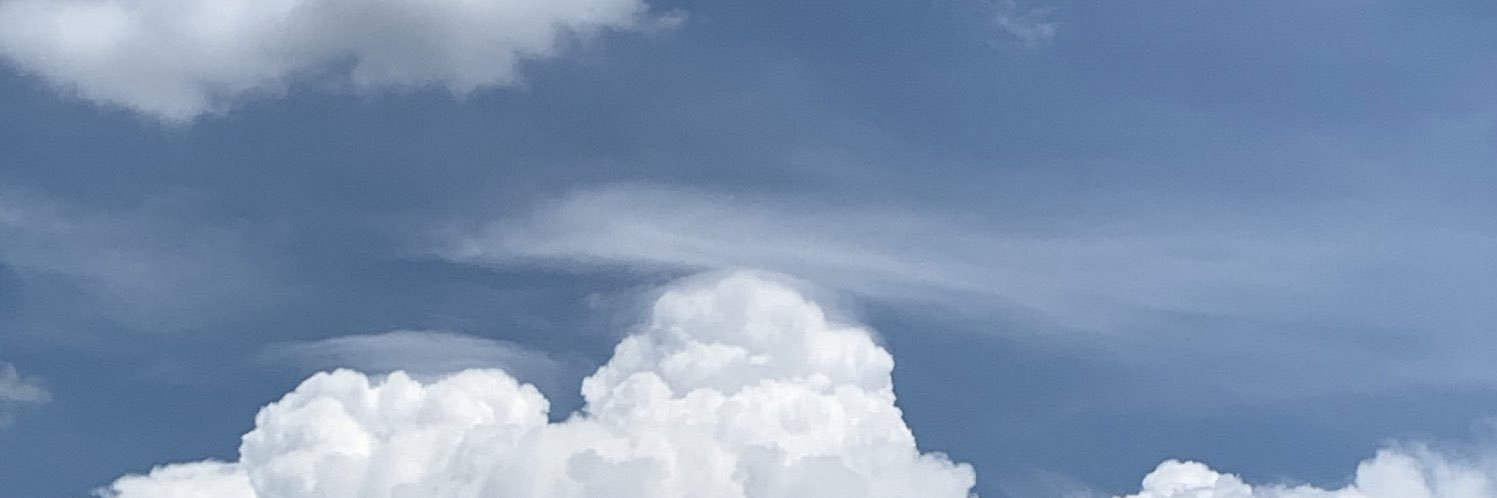 kamarawann's profile banner image