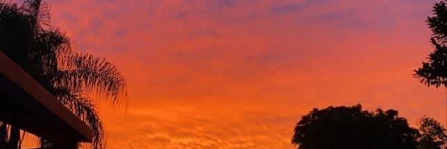 akarbowana's profile banner image
