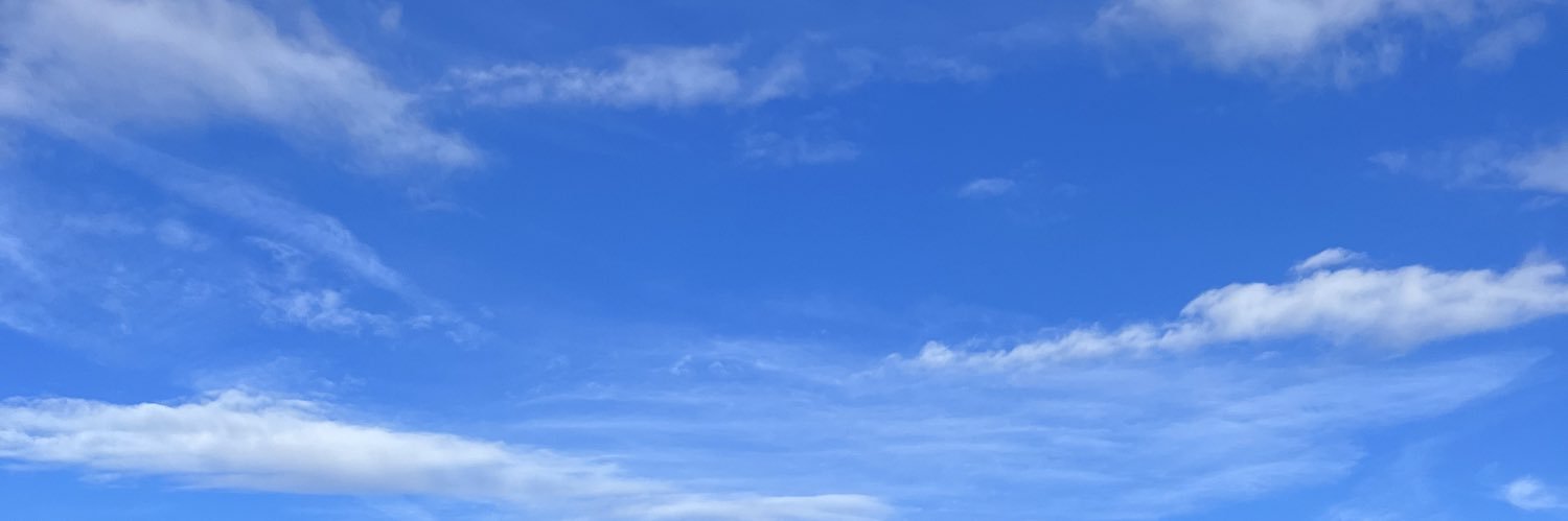 ver_rossa's profile banner image