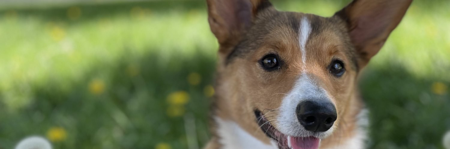 ppiligonzalez's profile banner image