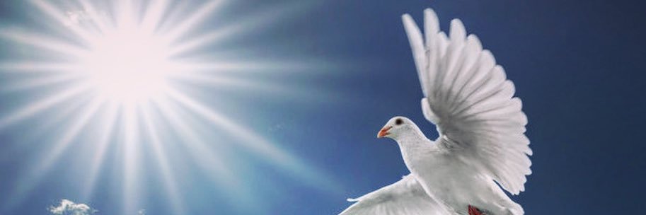 PatyNavidadMex's profile banner image