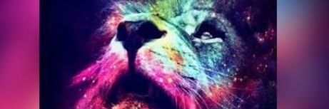 dozie4lif's profile banner image