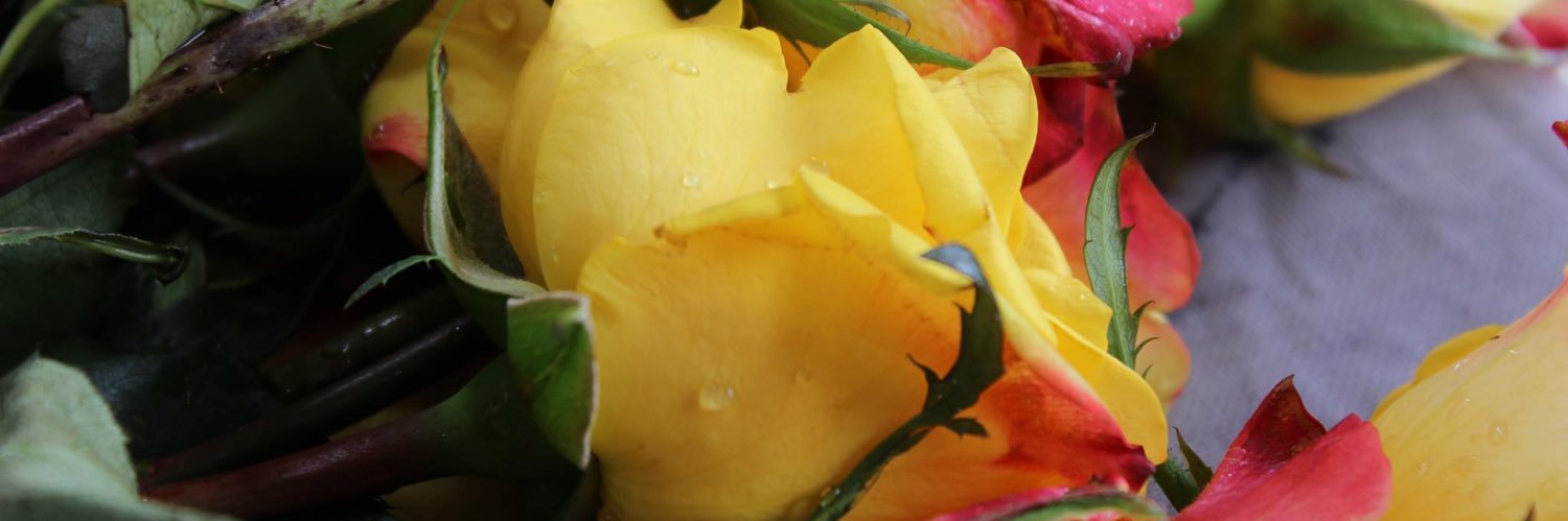 KenzieA_Wallace's profile banner image