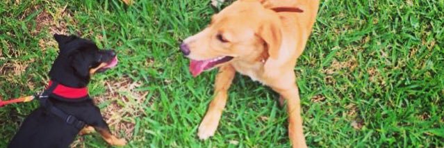 sidbarretto's profile banner image
