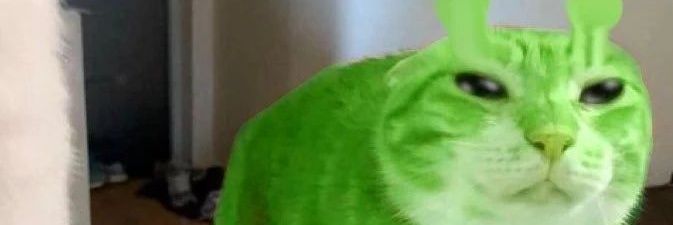 SploinkyYoinky 🇵🇸 🇨🇱 banner