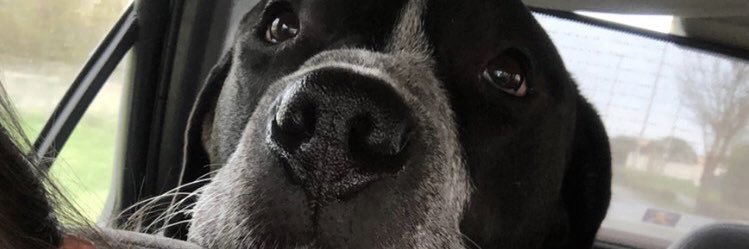 pitmumy's profile banner image