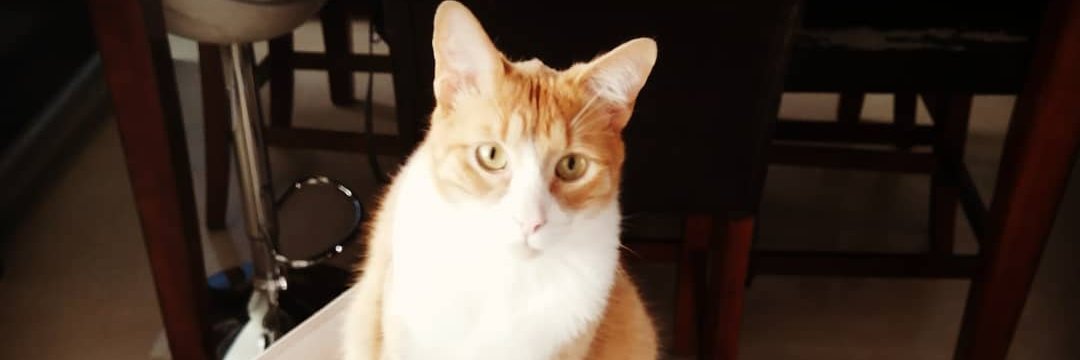 Crazywiseangel's profile banner image