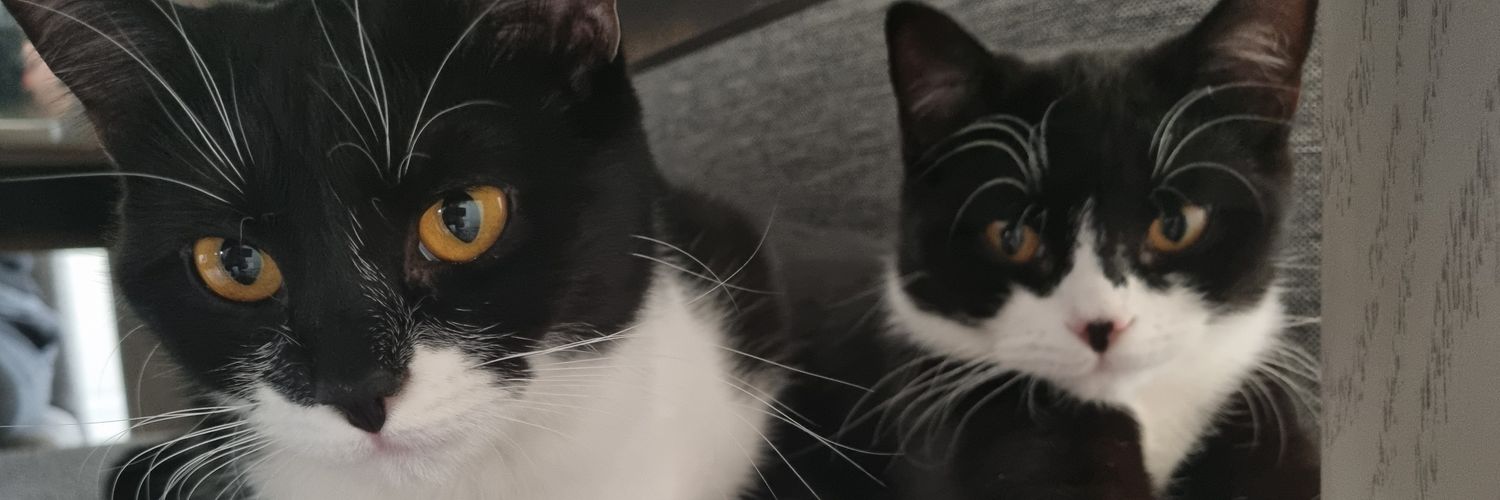 elifulusoyf's profile banner image