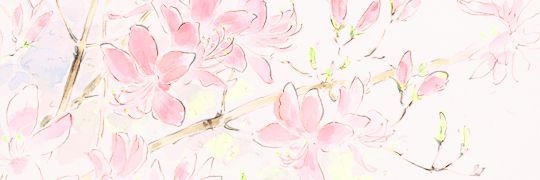 L banner