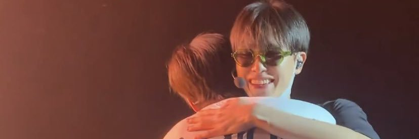 A P I S A R A banner