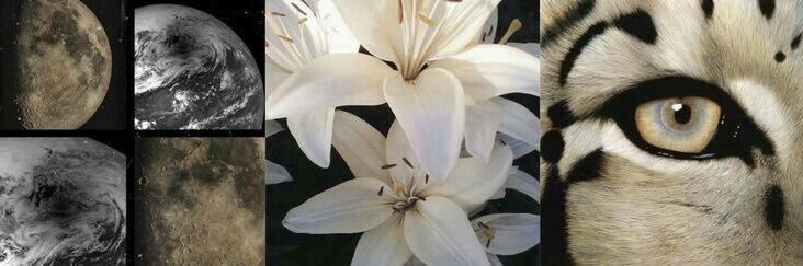 savior/iscariot ✮⚣ (MOVED!) banner