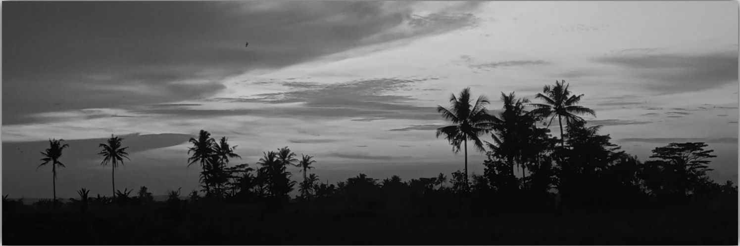afspdnn's profile banner image