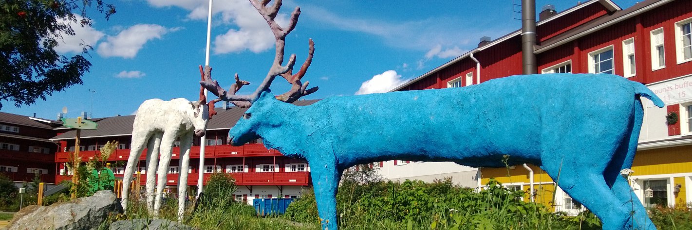 crazyreindeer's profile banner image