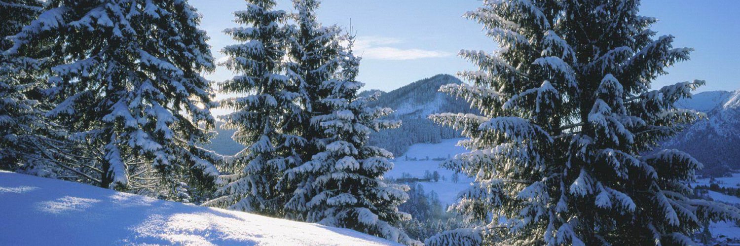 Reginald Hornstein banner