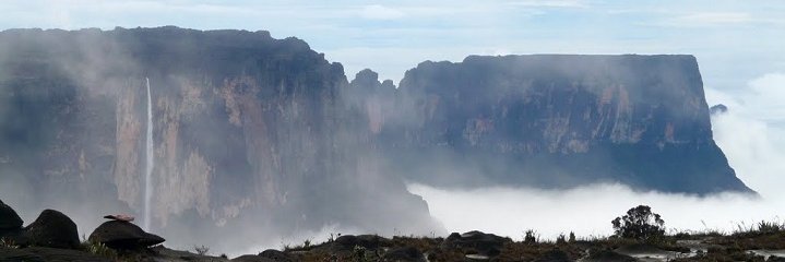Mawia03's profile banner image