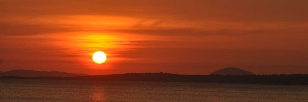 Arambillete Gerardo banner