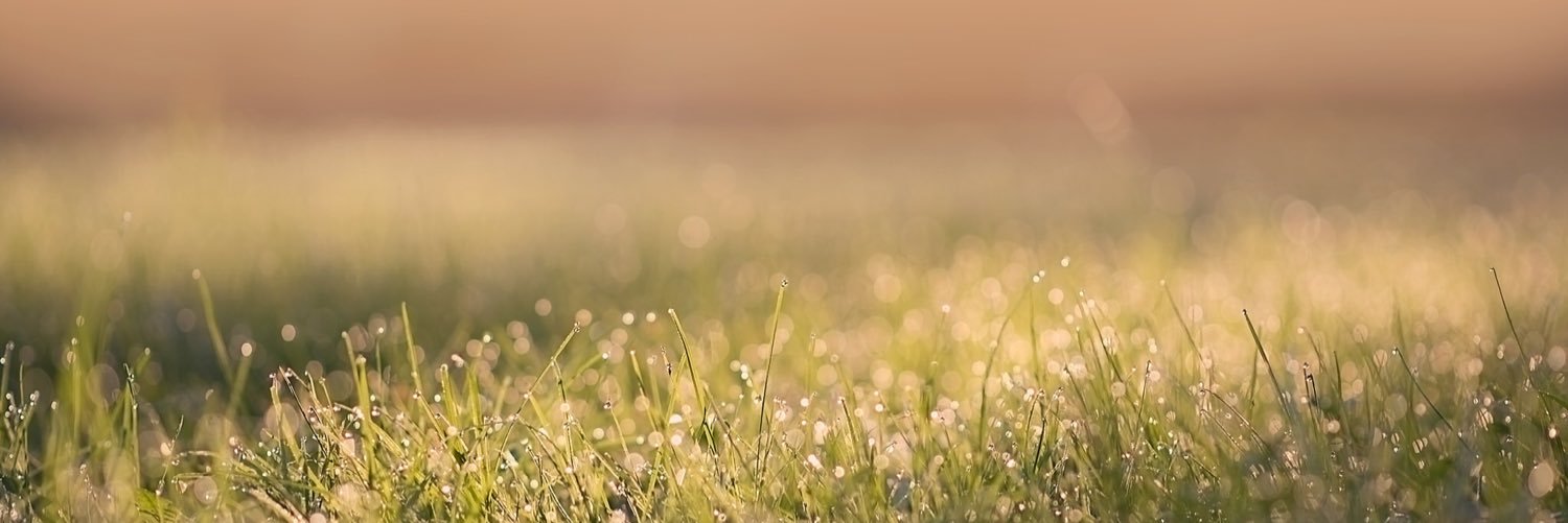 jstill1's profile banner image