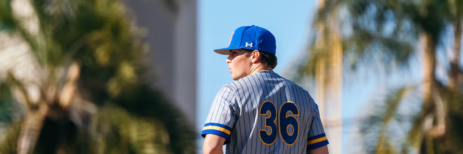 Dominic Brassesco banner