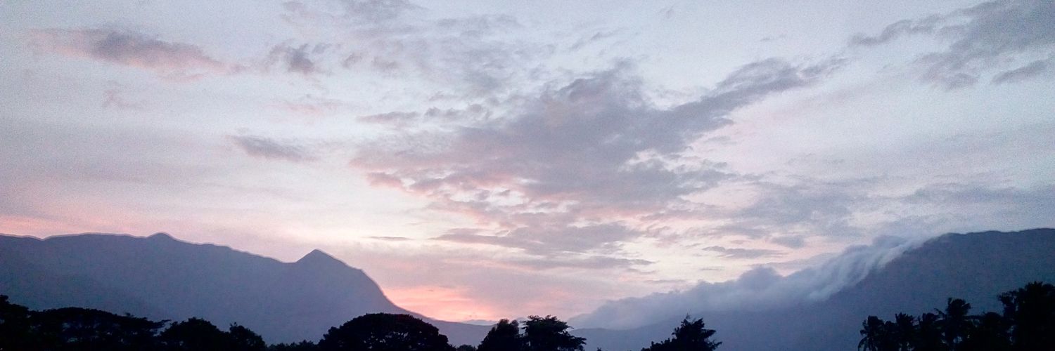 Stephen Fernandes banner