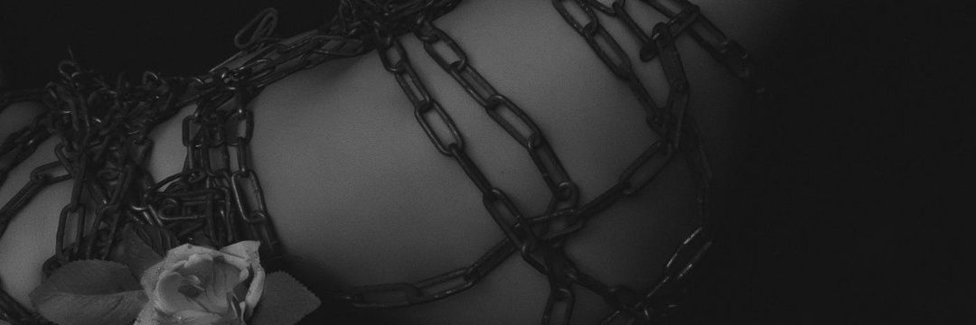安年 banner
