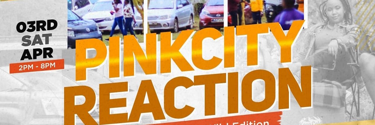 Pink City Reaction banner