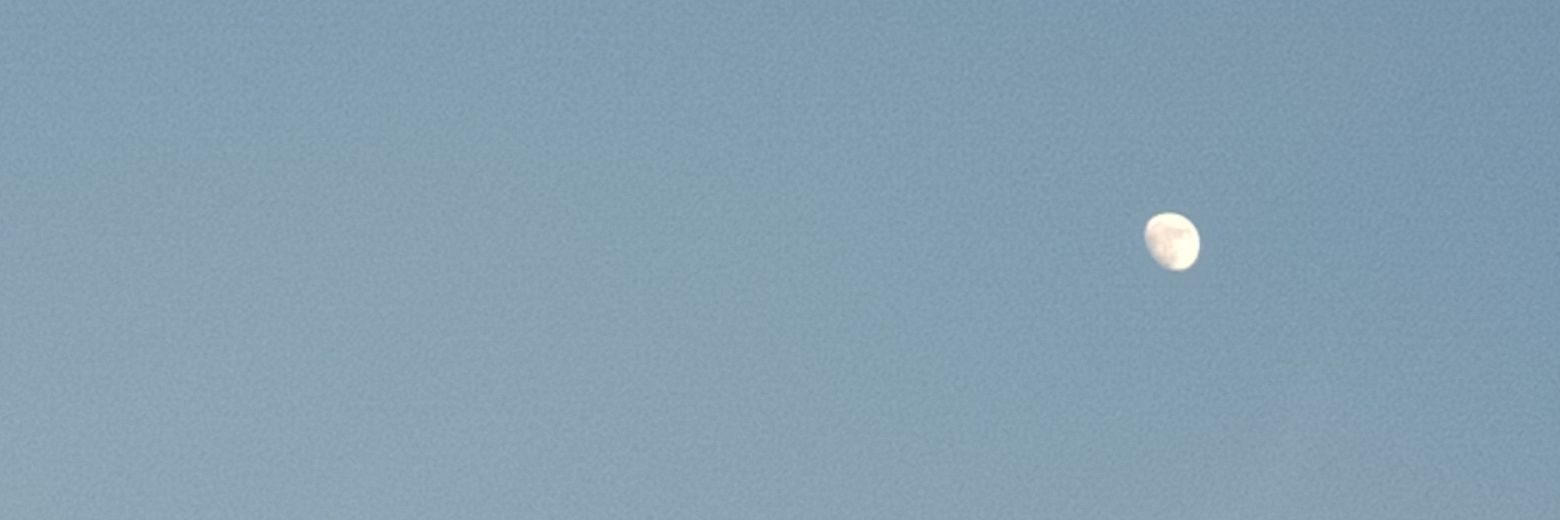 UsernameNiKelly's profile banner image