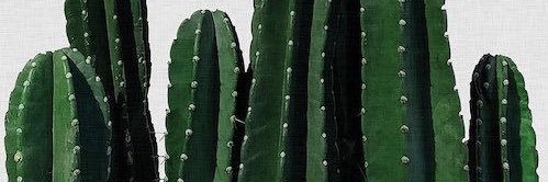 juanomarr's profile banner image