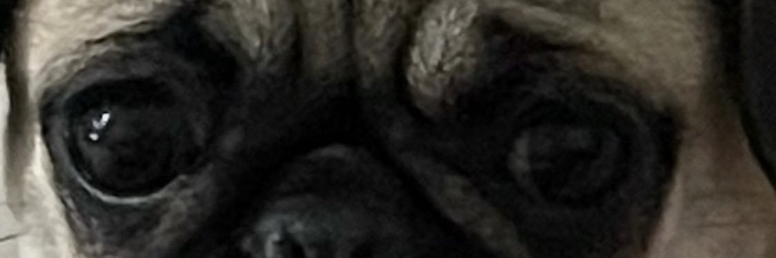uyarlik's profile banner image