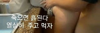 충주.강릉 banner