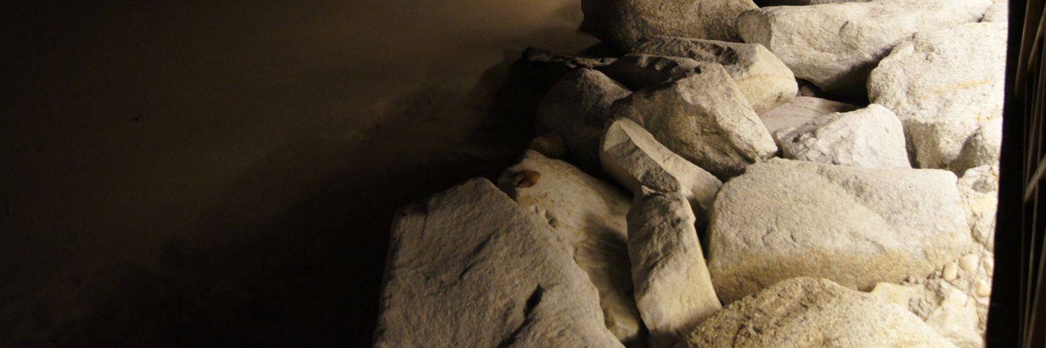 DAndradeN's profile banner image