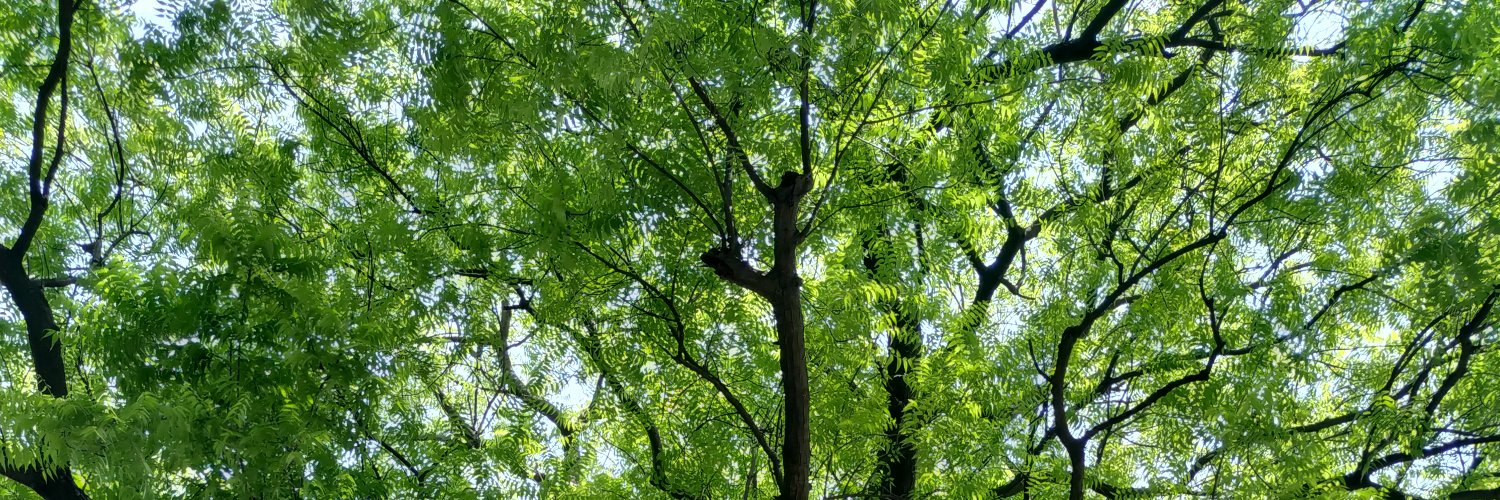 ManishaKukreti3's profile banner image