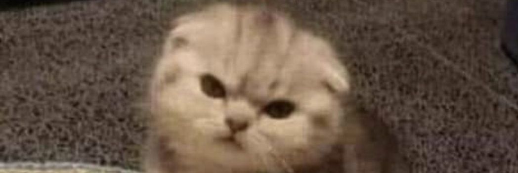 Sphumi_Lele's profile banner image