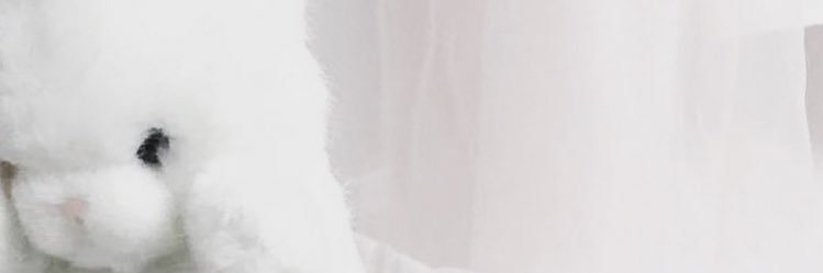 kooooHoo's profile banner image