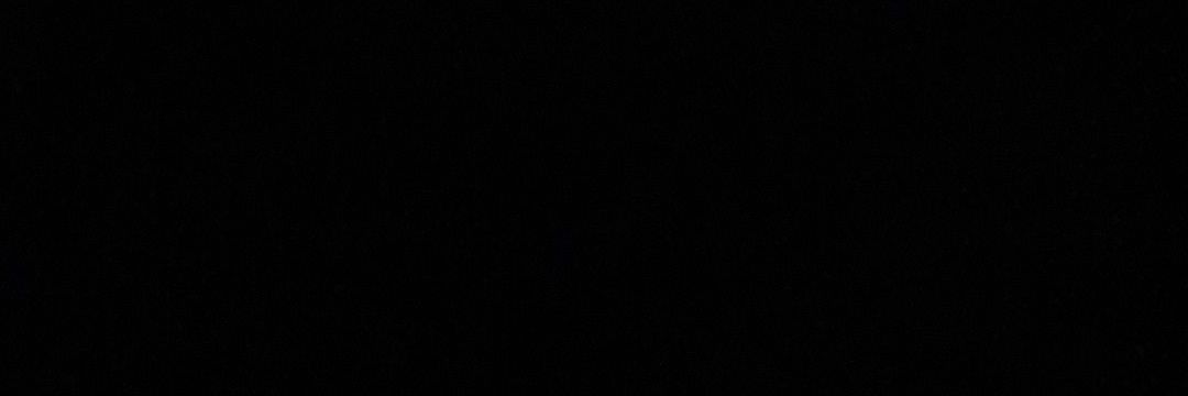 plantgreen3000's profile banner image