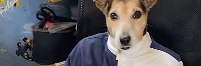 Alisson Silva banner