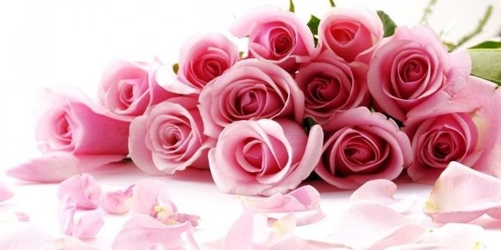 H3_ALMUQBALI's profile banner image