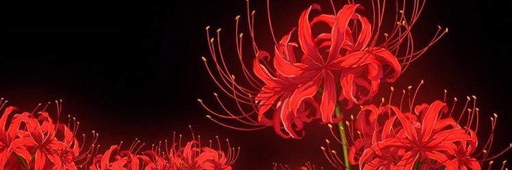 Tihssue banner