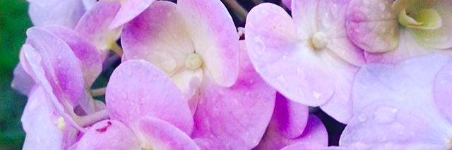 elHoop's profile banner image
