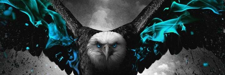 RobinEmmax's profile banner image