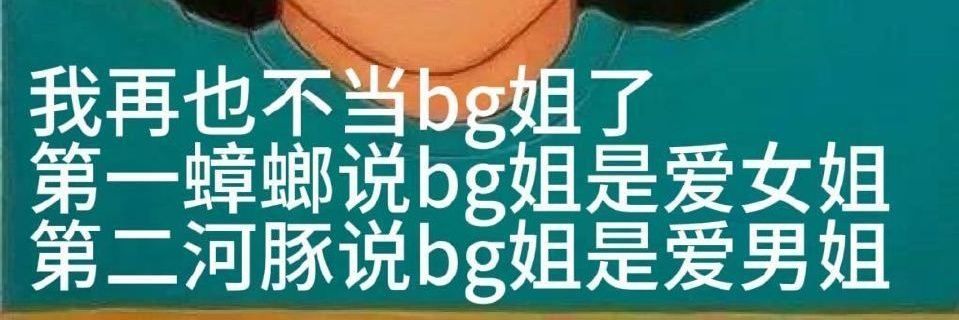理's banner