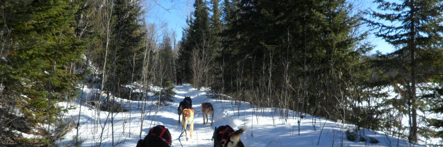 The Real Lundegaard 🇺🇸 🇺🇦 banner