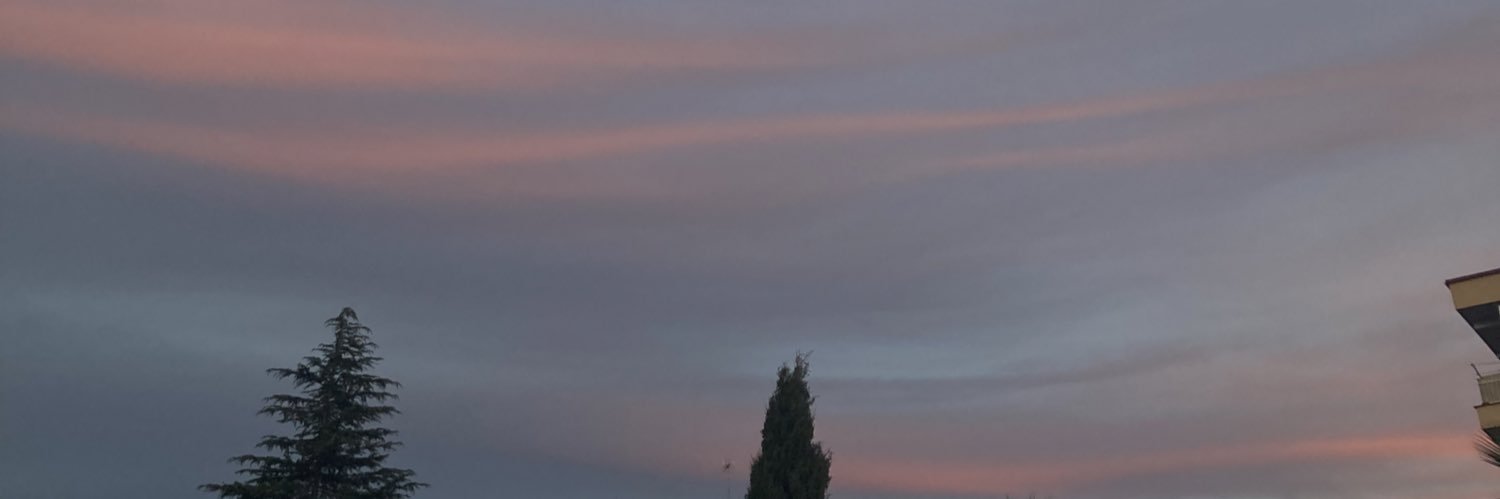 Angie 🪩 banner