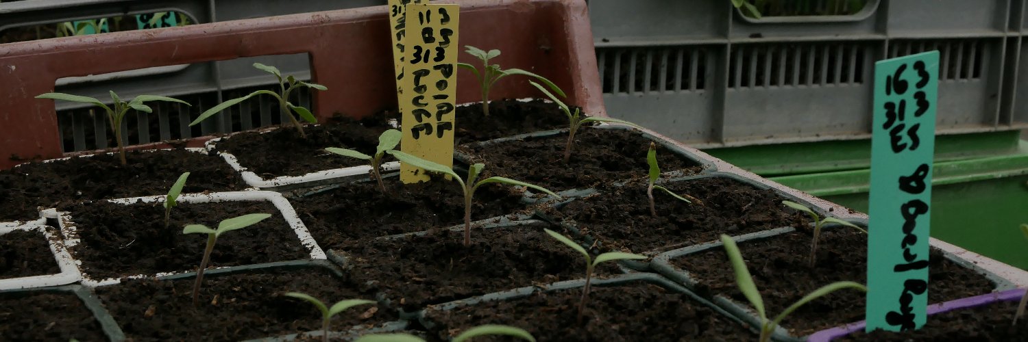 Réseau AMAP Auvergne-Rhône-Alpes banner