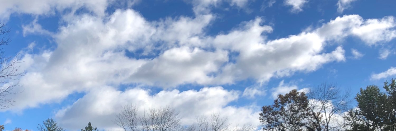 Brandon Linton banner